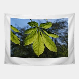 Backlit Horse Chesnut Leaf Tapestry