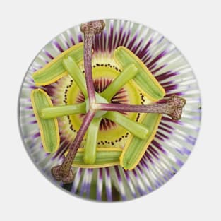 Passion Flower Pin