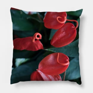 Red Flowers Pillow