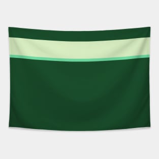 A striking federation of Dark Sea Green, Seafoam Blue, Tea Green, Pine and June Bud stripes. Tapestry