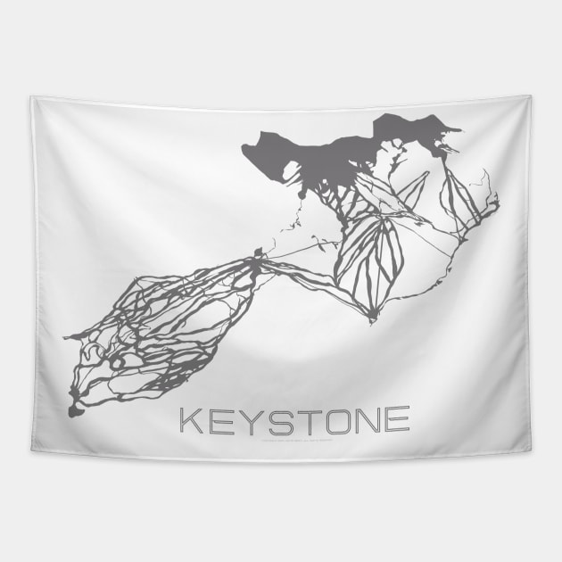 Keystone Resort 3D Tapestry by Mapsynergy