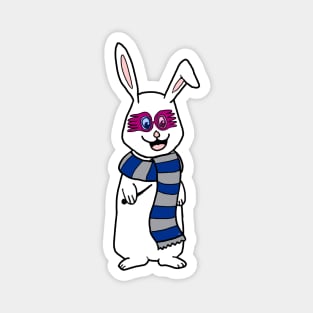 Looney Wizard Bunny Magnet