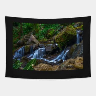 mountain stream Tapestry