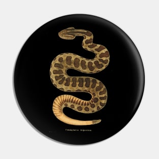 Western rattlesnake Pin