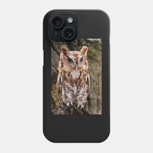 Screech Owl On Alert Phone Case