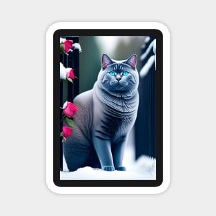 Unlock the Enchantment of British Shorthair and Snowy Roses Magnet