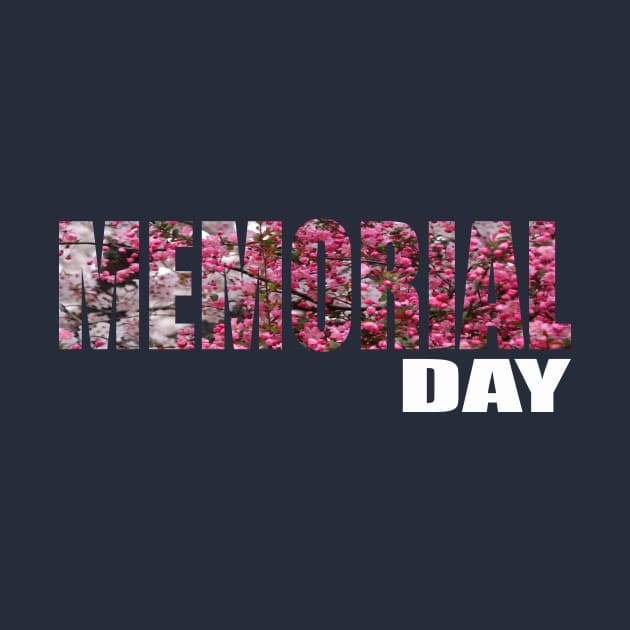 MEMORIAL DAY by Aprians