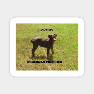 doberman pinscher red love with picture Magnet