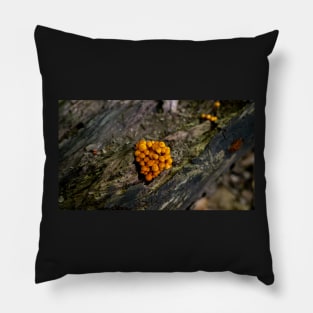 Mushroom growing in the wild jigsaw puzzle Pillow