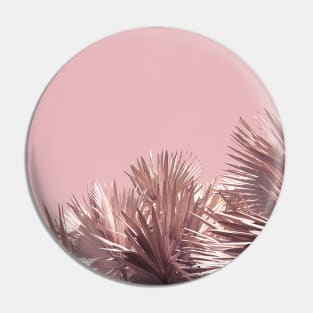 Palm trees - pink - nature photography Pin