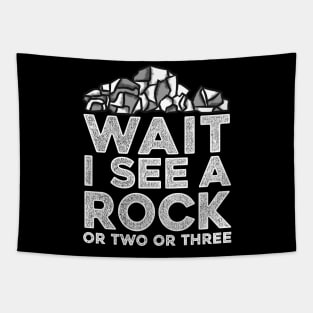 Wait I See A Rock - Archeologist Fossil Hunter Tapestry