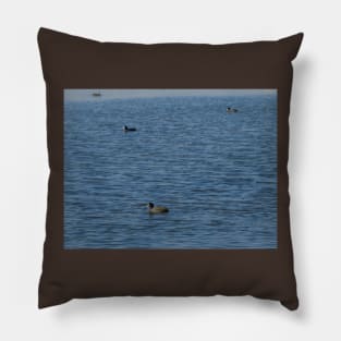 Ducks Pillow