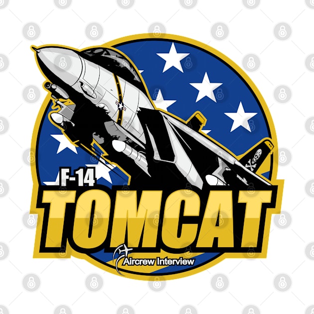 F-14 Tomcat by Aircrew Interview