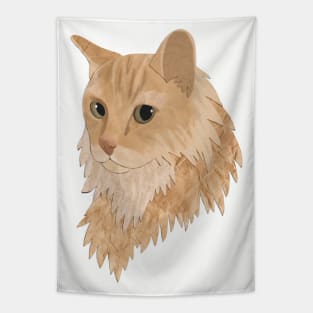 Fritz the orange cat Tapestry