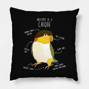 Anatomy of a Black-Headed Caique Pillow