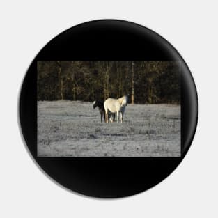 Wild Horses Pin