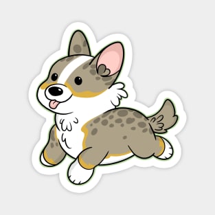 Blue Merle Corgi Magnet