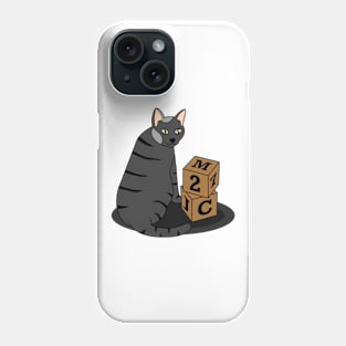 Cat with Cubes Phone Case