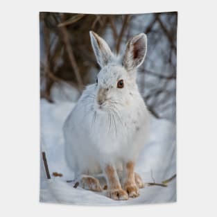 Snow Shoe Hare Tapestry