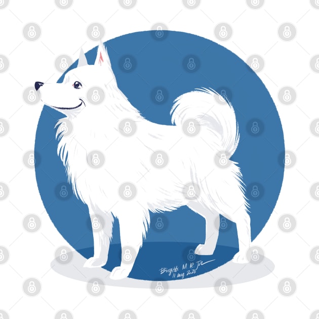 American eskimo dog by iambirgitte