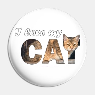 I love my cat - beige tabby cat oil painting word art Pin