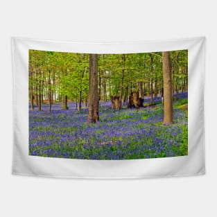 Bluebells Bluebell Woods Greys Court Oxfordshire UK Tapestry