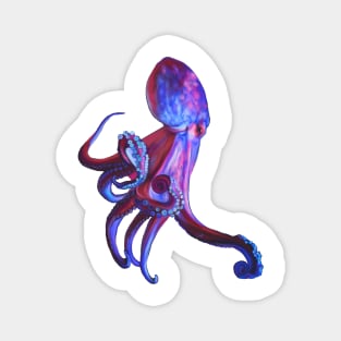Electric blue octopus. Beautiful sea creature, Highly intelligent and beautiful too Magnet