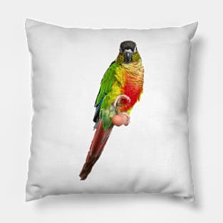 Conure Parrot Bird design | Green cheek | Love for birds Pillow