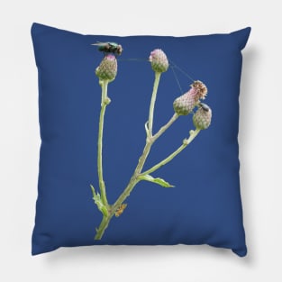 Three Insects On Flower Pillow