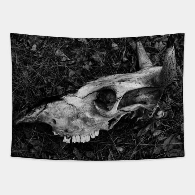 Dead cow bnw skull Tapestry by deadblackpony