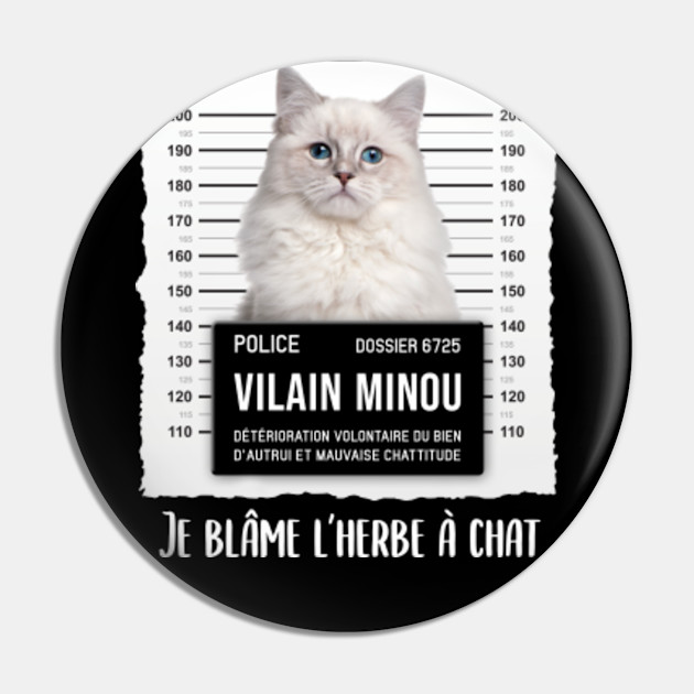 Cadeau Humoristique Pour Proprietaires De Chat Ragdoll Ragdoll Pin Teepublic