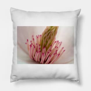 Inside the Magnolia Pillow