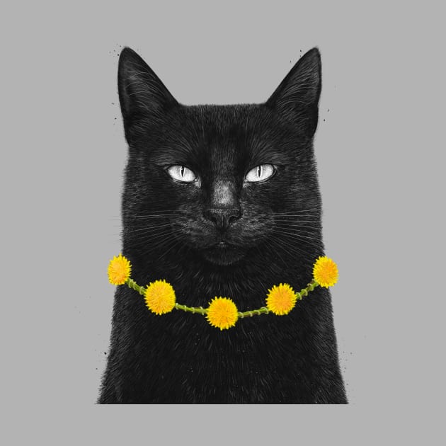 Black cat with dandelions by kodamorkovkart