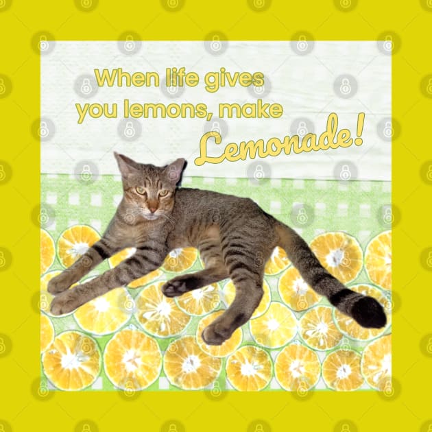 Cat with Funny Quote When Life Gives You Lemons, Make Lemonade by aspinBreedCo2