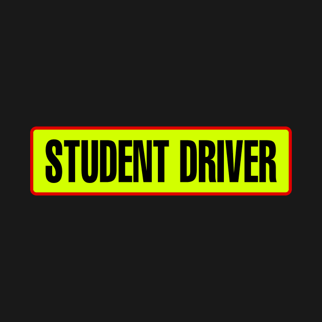 Student driver by Soll-E