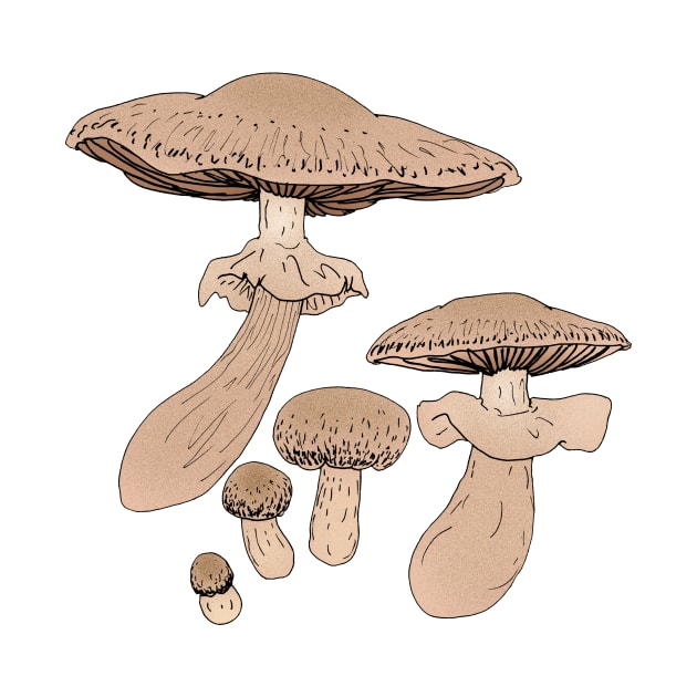 Agaricus subrufescens by Stanton