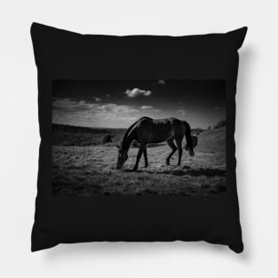 Grazing Horse Pillow