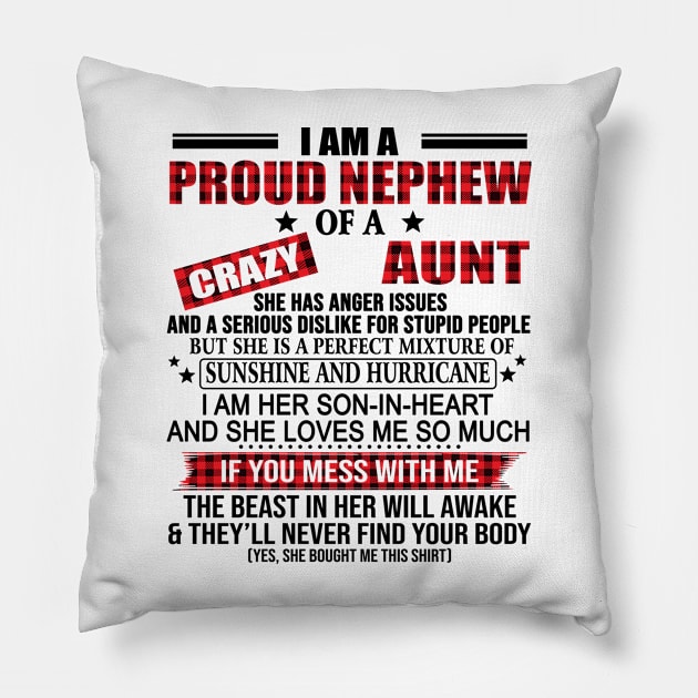 I Am A Proud Nephew Of A Crazy Aunt Pillow by Jenna Lyannion