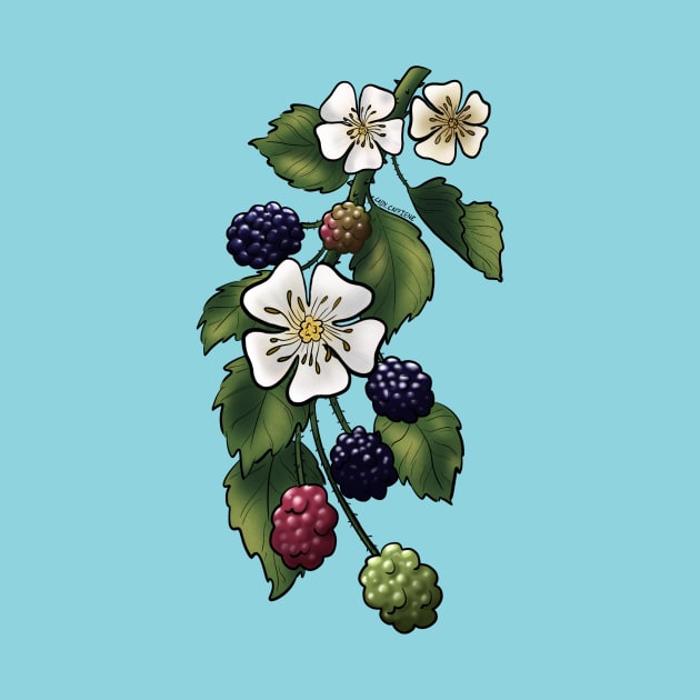 Blackberries by Lady_Caffiene