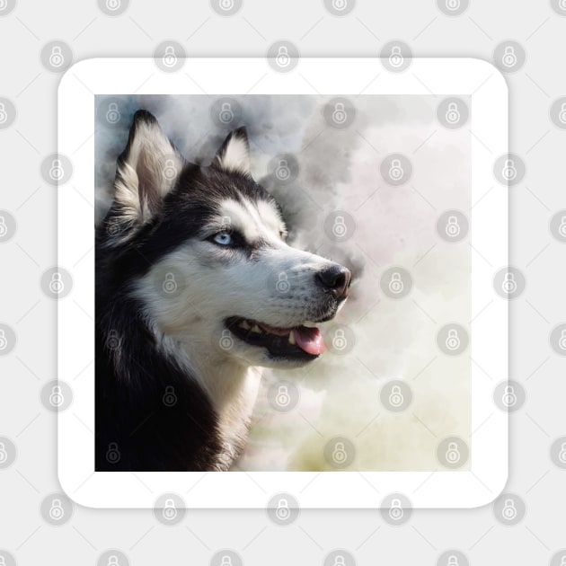 Husky photo montage Magnet by Noamdelf06