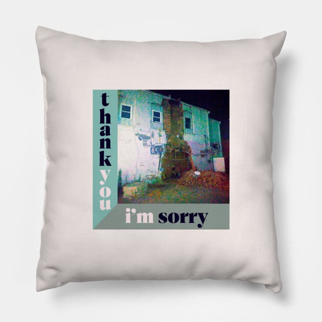 Thank You I’m Sorry Pillow by Noah Monroe