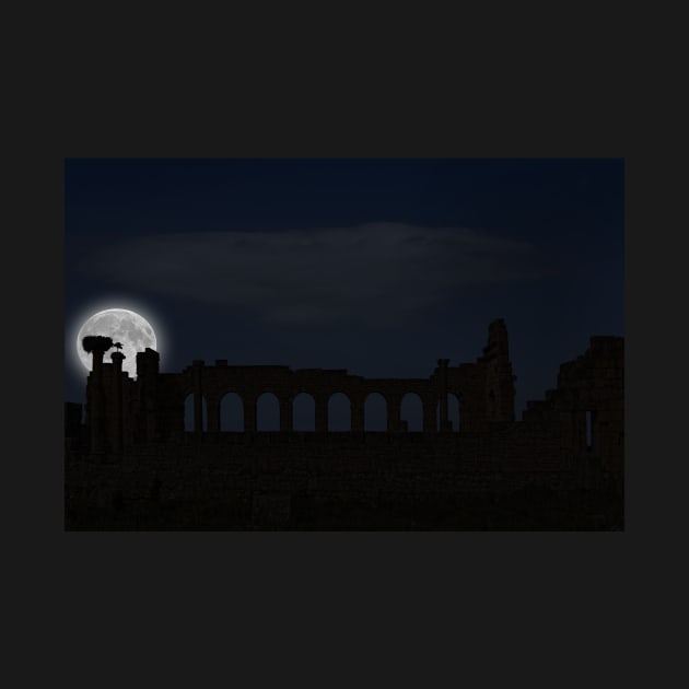 Volubilis by Night. by bulljup