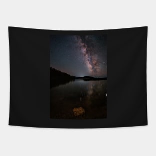 The Milky Way Tapestry