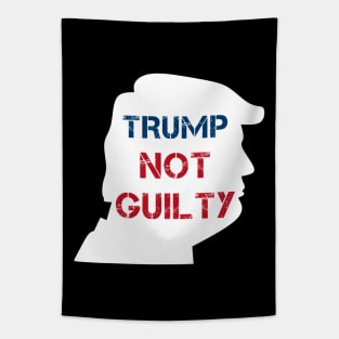 Trump Not Guilty, Free Trump. Tapestry