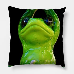 Yoga Frog - Sukhasana Pose Pillow