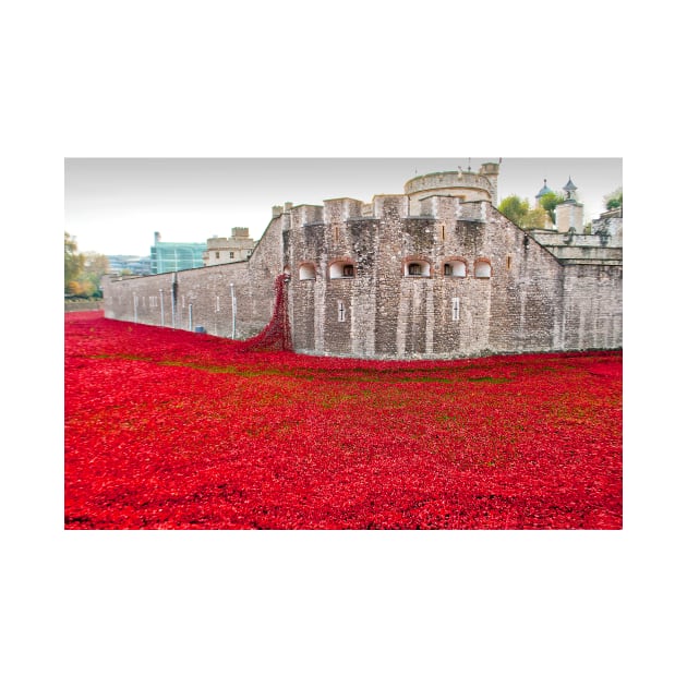 Tower of London Red Poppies by AndyEvansPhotos