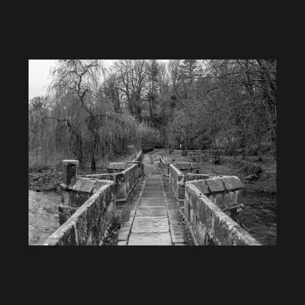 Ancient stone bridge in the town of Bakewell, Derbyshire by yackers1