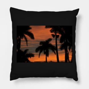 Royal Palm Sunset Pillow