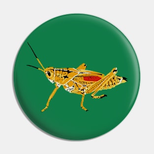 Eastern Lubber Grasshopper Pin