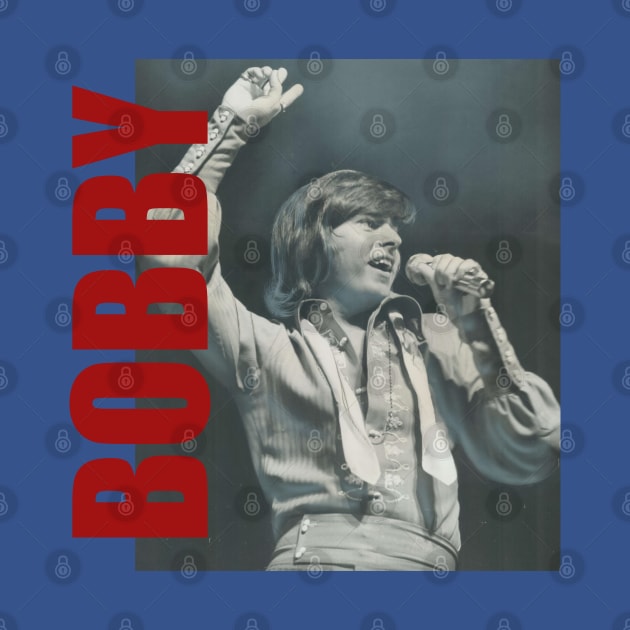 Bobby Sherman - Retro Aesthetic Fan Art by JULIAN AKBAR PROJECT